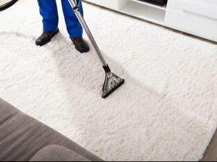 An area rug being cleaned by a professional carpet cleaner Townsville